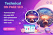 provide on page and technical seo website audits services