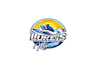create high quality and beautiful jet ski logo design
