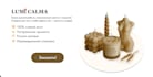 design a professional tilda website