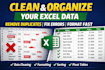clean, format and organize excel data professionally