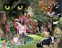 do advanced photo editing, background replacement, or composite image