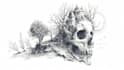 draw ink and pencil illustration for you