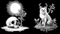 draw black and white illustrations