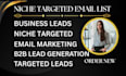collect niche targeted email address list