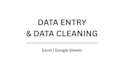 do data entry, data cleaning, and excel data input