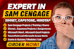 do sam cengage, simnet, capstone,mindtap works in ms excel, word, ppt,access