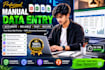 do accurate manual data entry and copy paste