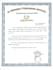 do professional fast typing and stenography with 50 wpm