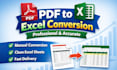 convert PDF to excel professionally and accurately
