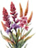 create botanical illustration flower, plant design