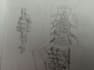 draw most things you will ask me too with few exceptions