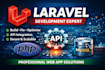 fix bugs and issues in your laravel project
