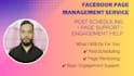 professionally manage and grow your facebook page