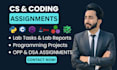do computer science assigned, java, cpp, python,r programming tasks and projects