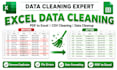 excel data cleaning, data cleanup and convert PDF to excel