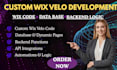 develop custom wix velo code wix database backend features