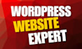 design professional website using wordpress website