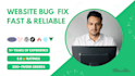 fix bugs and errors in your website or web application