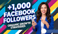 add new 1,000 facebook followers
