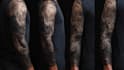 create attractive realism sleeve tattoo designs