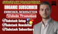 do complete substack setup promotion  subscriber growth for your newsletter