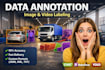 do professional data annotation and image labeling