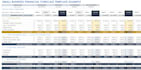 prepare professional financial projections and forecasts