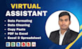 do excel data entry, data cleaning, formatting and CSV data
