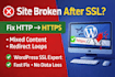 fix website broken after SSL installation https mixed content