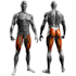 create 3d animation for your workout, anatomy animation, fitness video