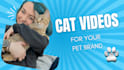 create eyecatching cat ugc videos for your pet product