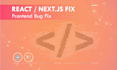fix react and next js frontend bugs and issues