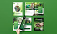 design a professional company profile, business brochure, and catalog