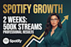 do organic spotify music promotion, spotify music promotion