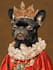 design custom pet portrait