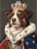 draw pet portrait, digital art, dog portrait, pet memorials