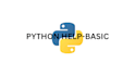 help you with simple python scripts and bug  fixing
