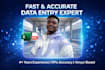 do accurate data entry and excel cleanup