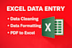 do excel data entry, data cleaning, formatting and data analysis
