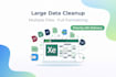 do fast and accurate data entry PDF to excel and data cleanup 24 48h delivery
