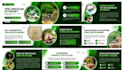 create medical academic slide powerpoint, pitch deck, presentation for students