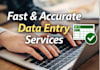 do professional excel data entry and web research