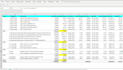convert pdf into excel and clean the data