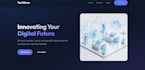 custom website design and development solutions