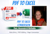 do fast and accurate PDF to excel conversion