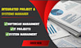 handle IT projects, software management and system management professionally