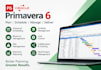 do schedules cashflow, construction projects on primavera p6