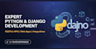 develop professional python django websites and rest apis