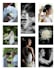 be your professional photographer wedding in bali