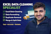 do excel data cleaning, formatting, and data cleanup